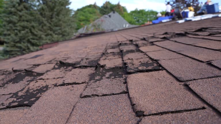 Best Roof Leak Repair  in South Elgin, IL