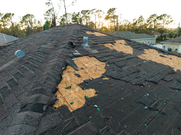 Professional Roofing Service in South Elgin, IL